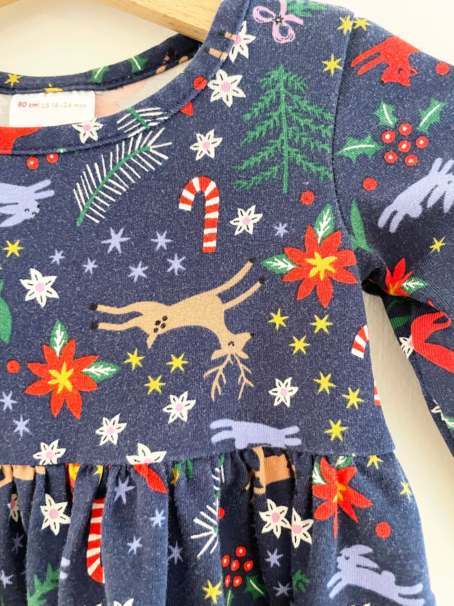 Hanna Andersson Holiday Print Dress / 18-24M