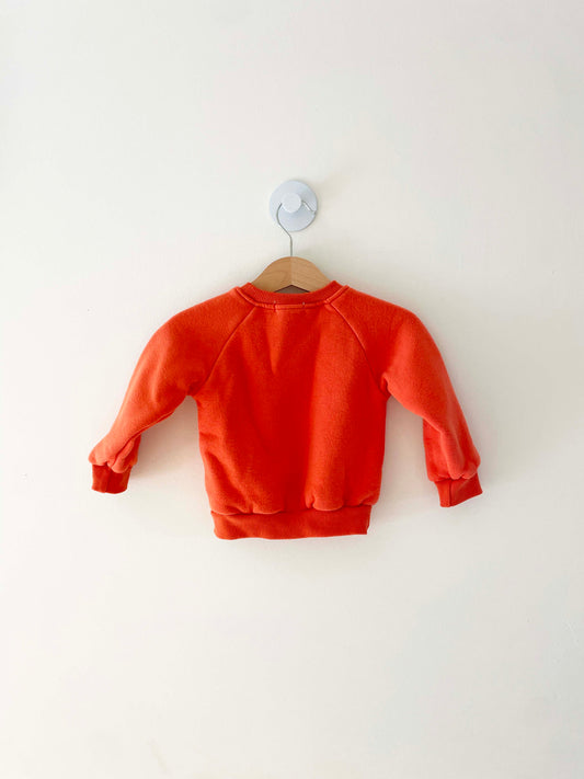 Assorted Brands 2-Piece Sweatshirt + Sweat Pant Set / 6-12M