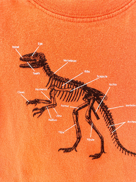 Hanna Andersson Dinosaur T-Shirt / 2Y
