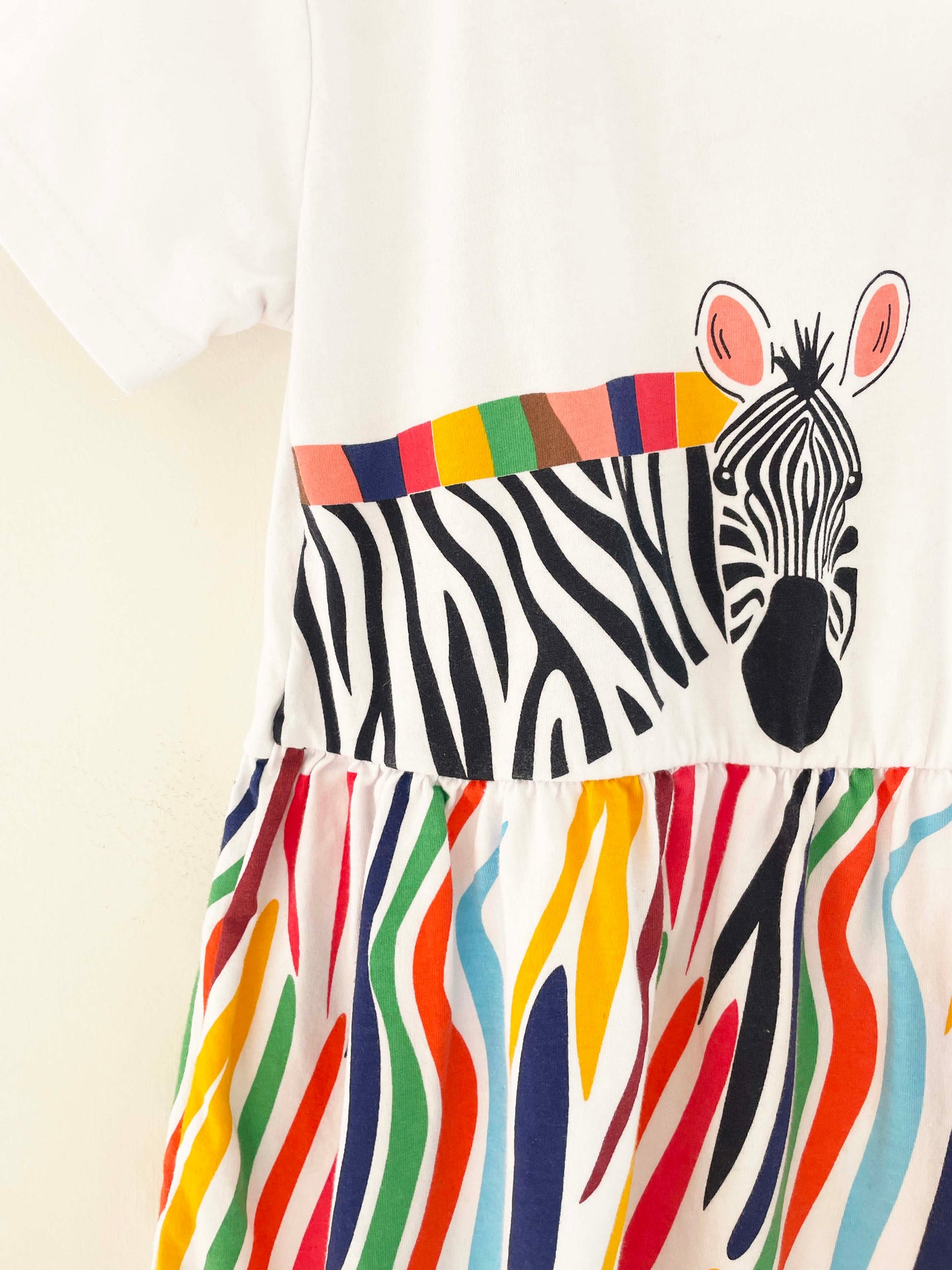Assorted Brands Rainbow Zebra Dress / 7Y