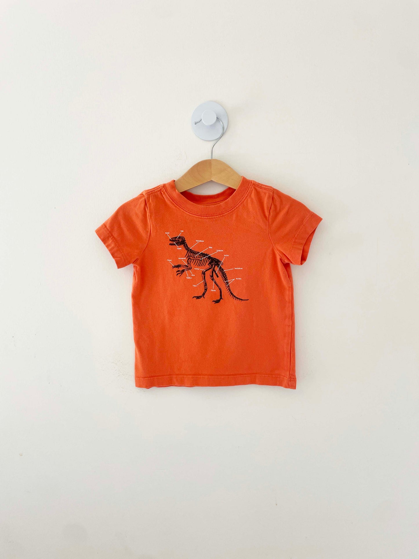 Hanna Andersson Dinosaur T-Shirt / 2Y