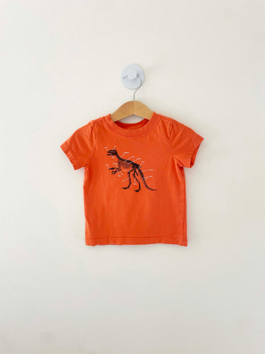 Hanna Andersson Dinosaur T-Shirt / 2Y